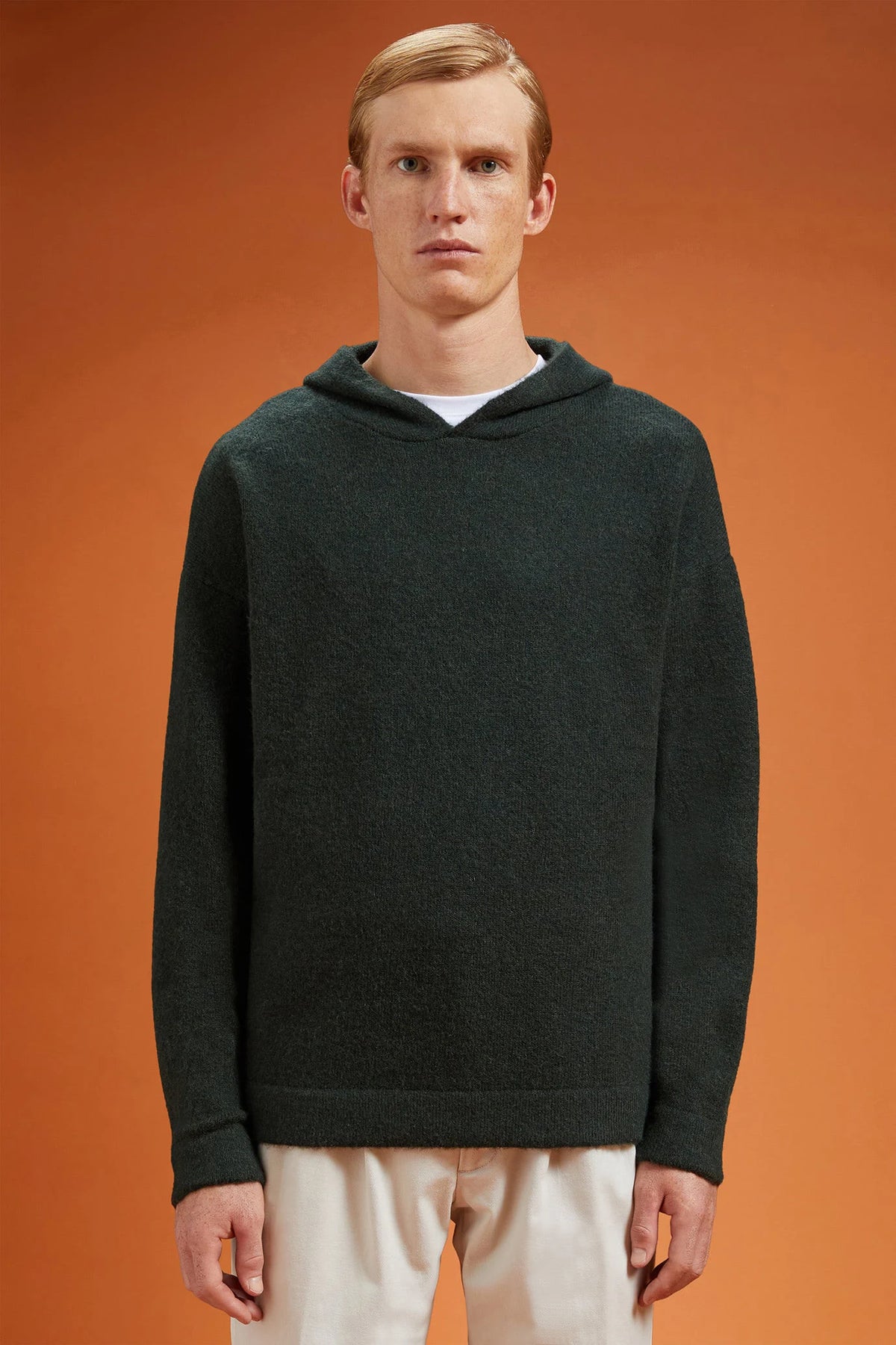 Men's regular fit hoodie in a wool blend