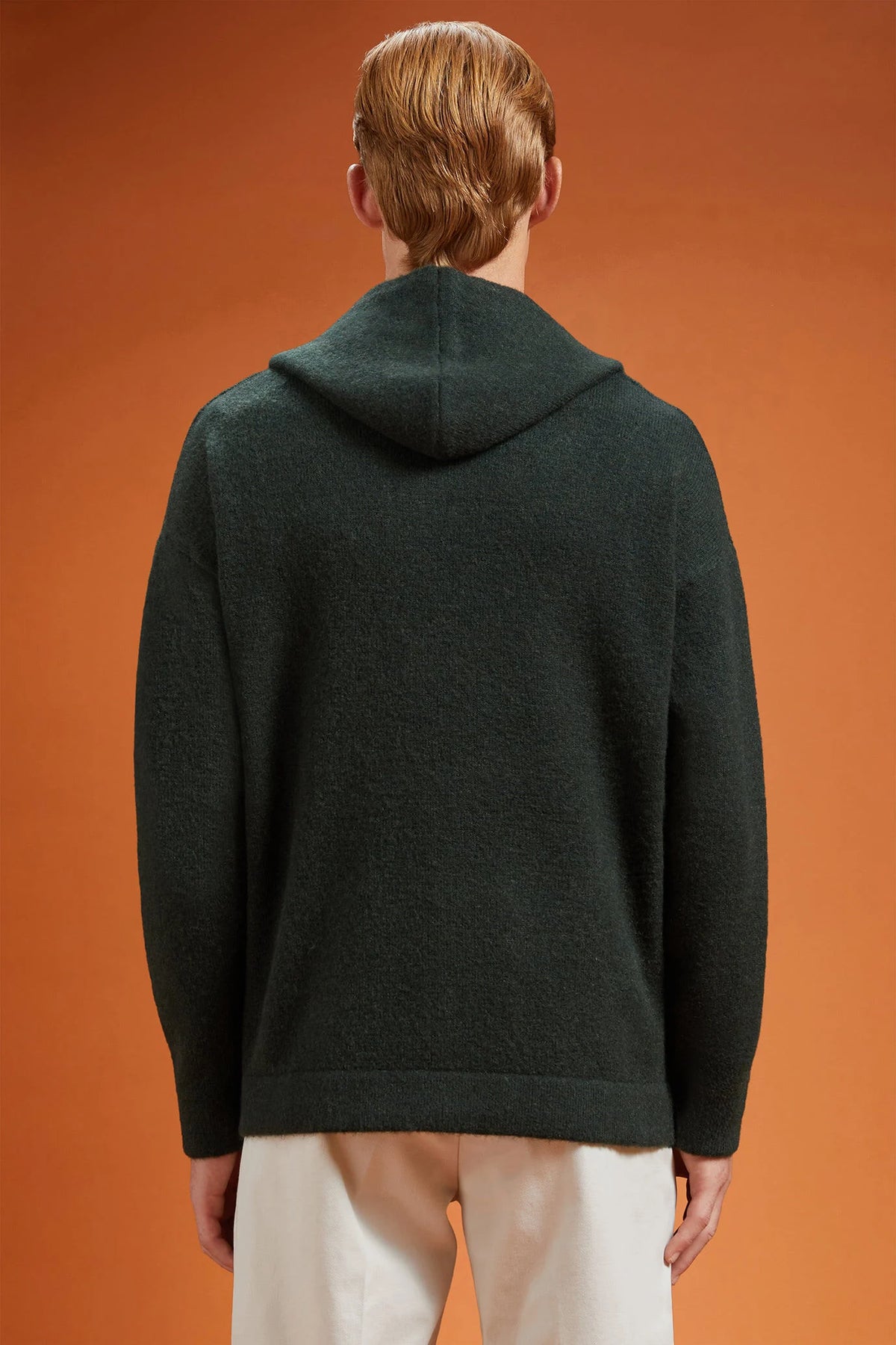Men's regular fit hoodie in a wool blend