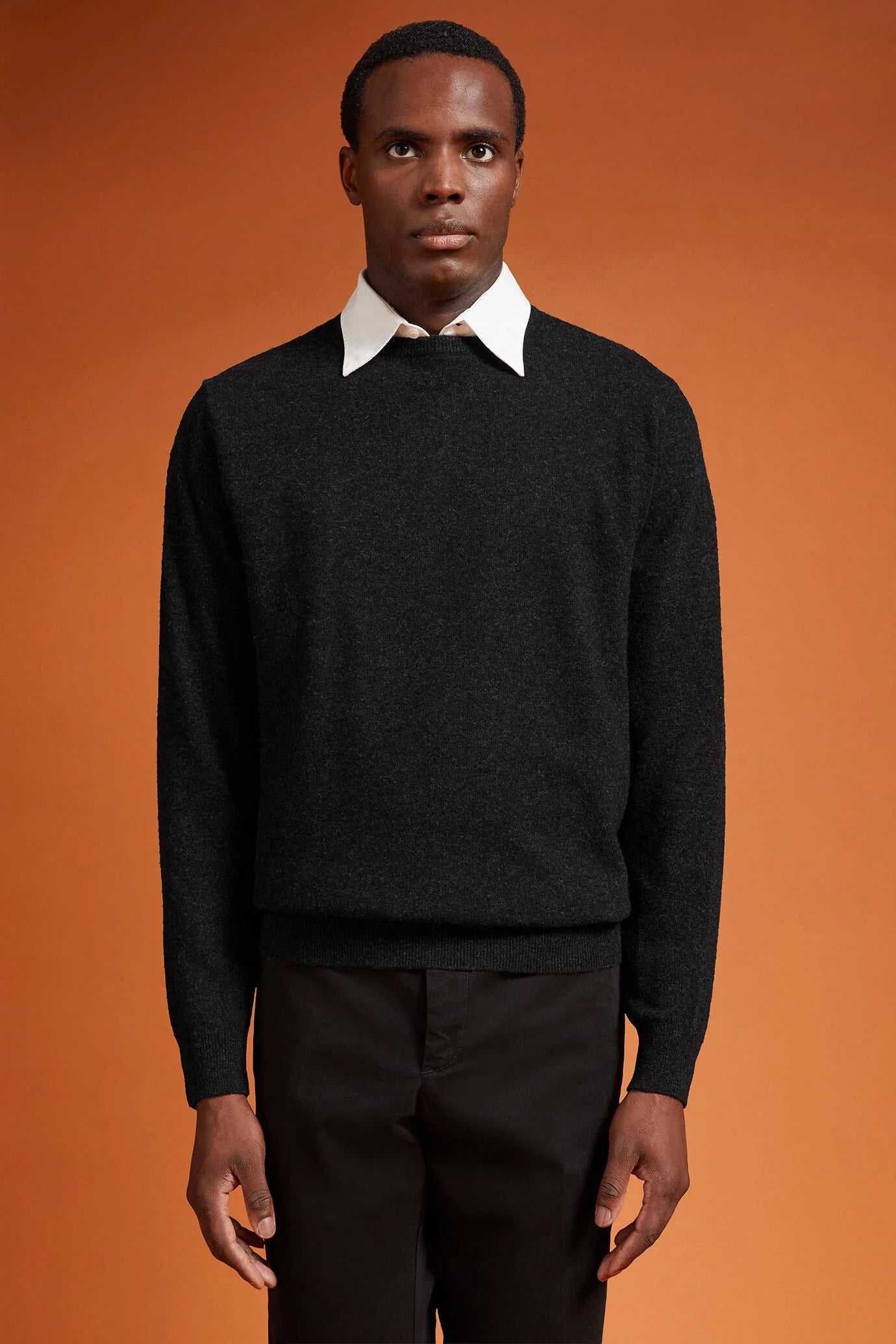 Men's regular fit crew neck jumper in 100% extra fine merino wool