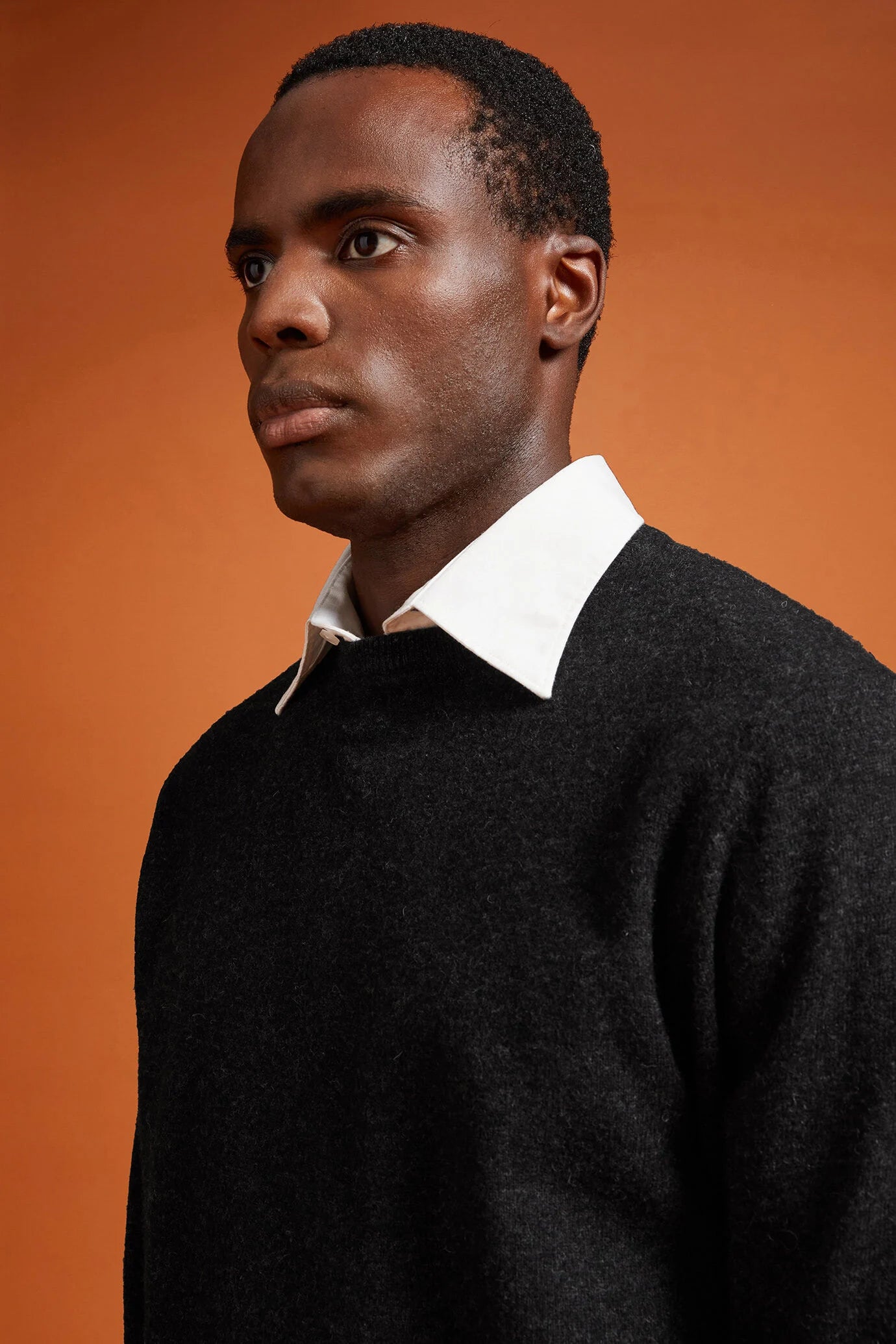 Men's regular fit crew neck jumper in 100% extra fine merino wool