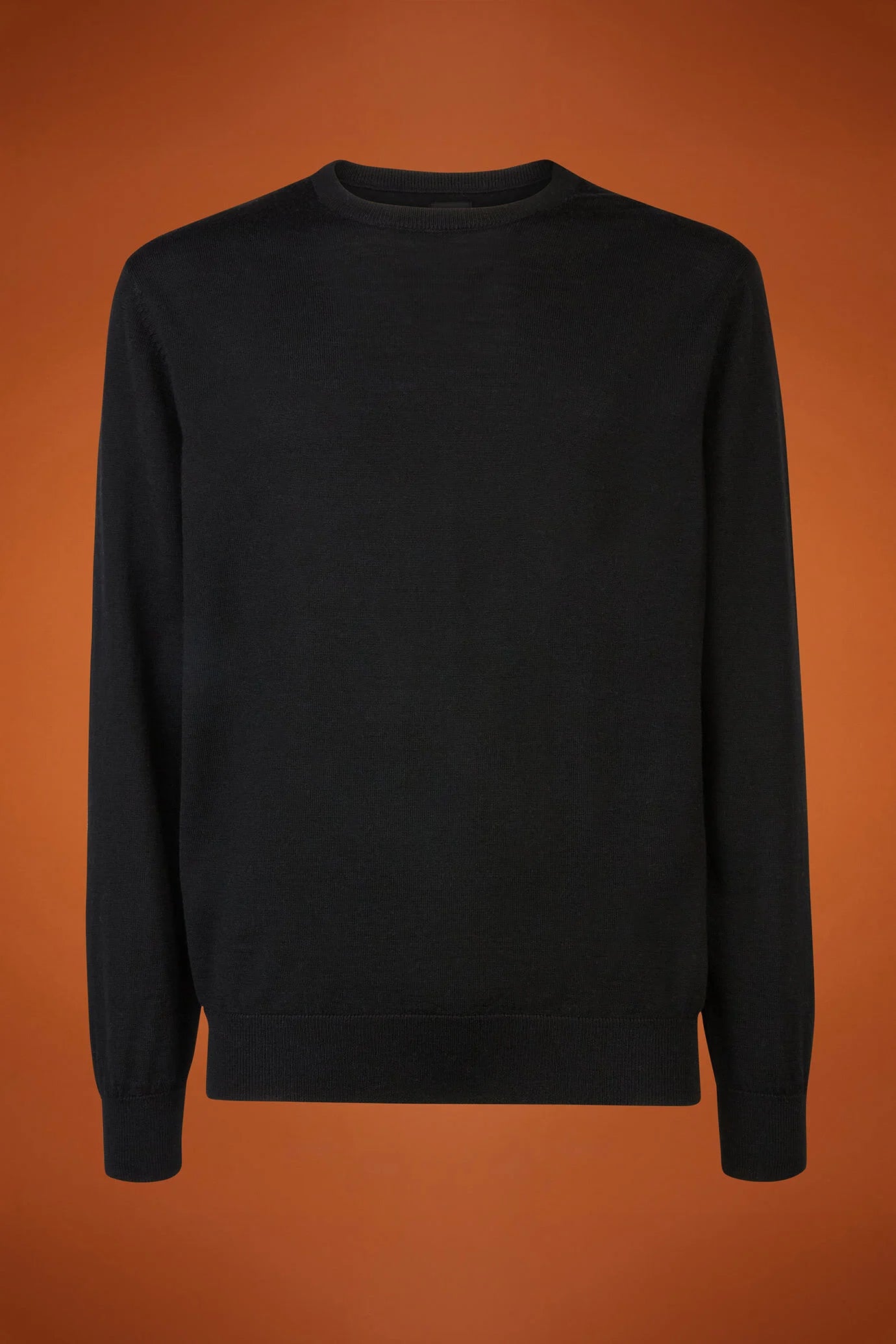 Men's regular fit crew neck jumper in 100% extra fine merino wool