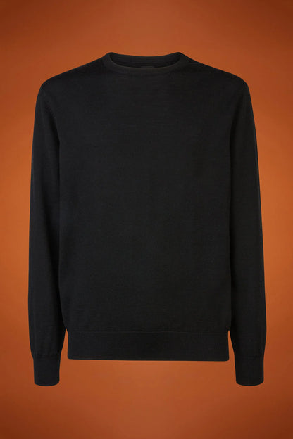 Men's regular fit crew neck jumper in 100% extra fine merino wool