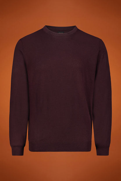 Men's regular fit crew neck jumper in 100% extra fine merino wool