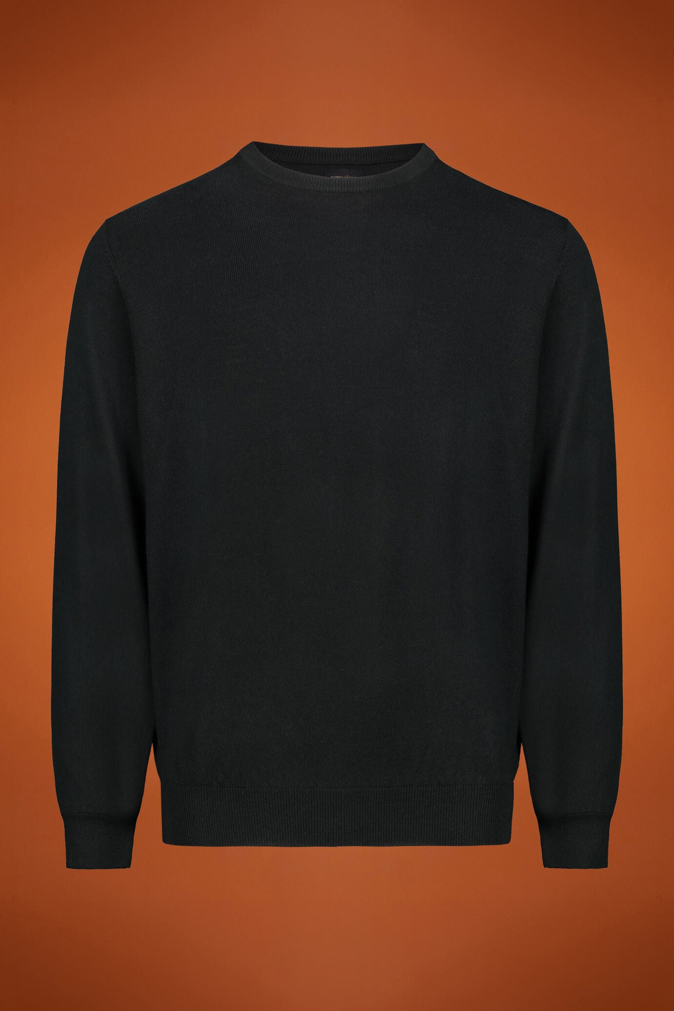 Men's regular fit crew neck jumper in 100% extra fine merino wool