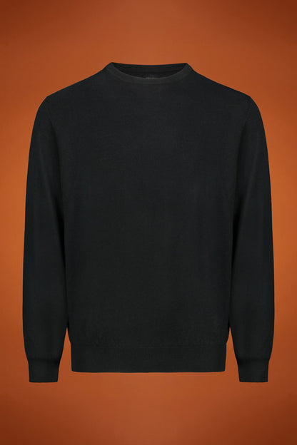 Men's regular fit crew neck jumper in 100% extra fine merino wool