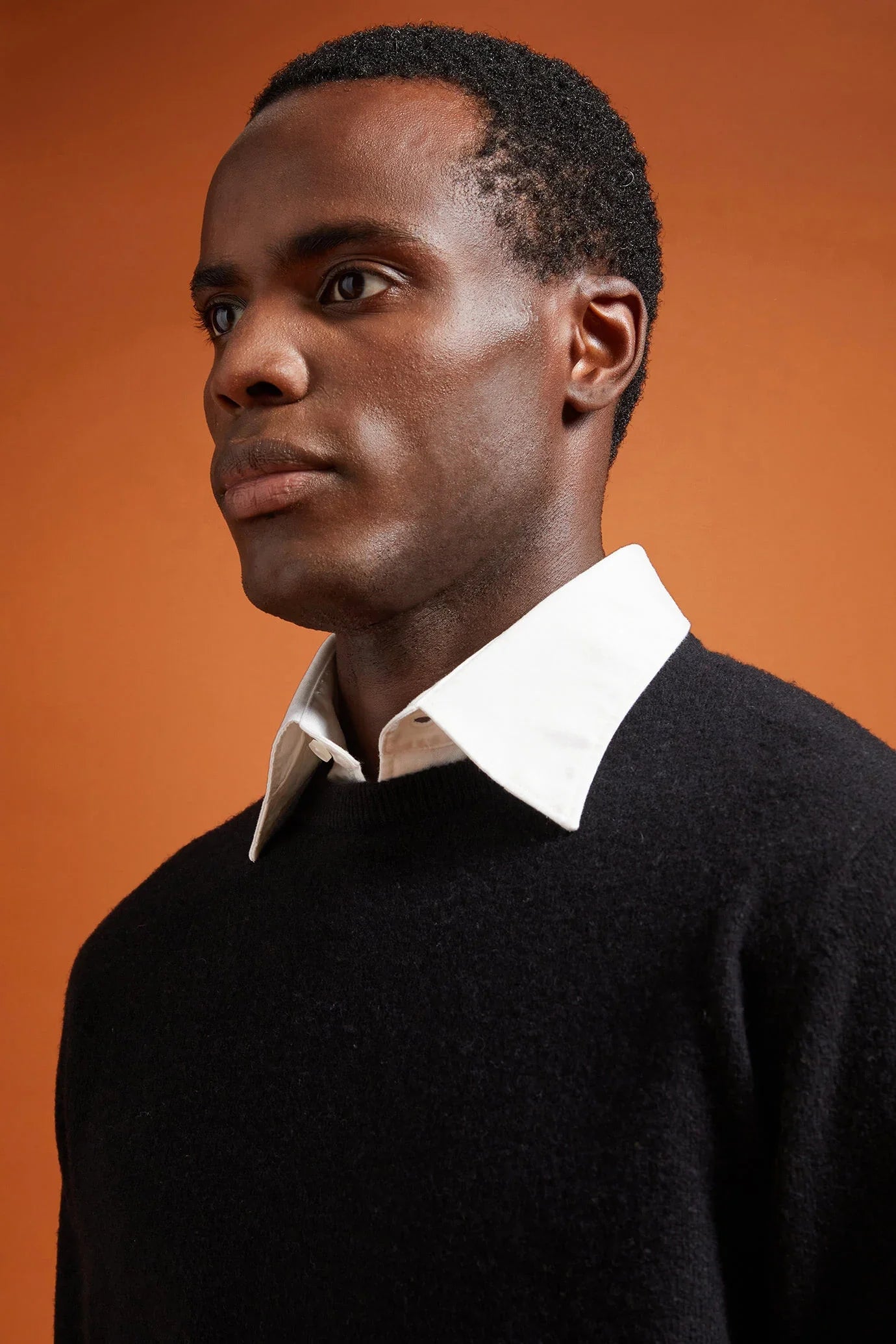 Men's regular fit lambswool jumper
