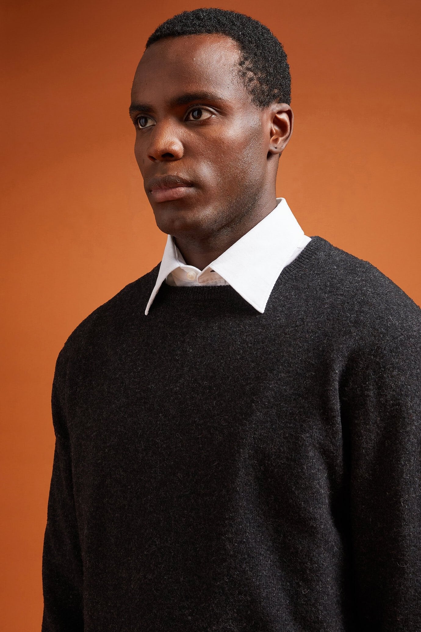 Men's regular fit lambswool jumper