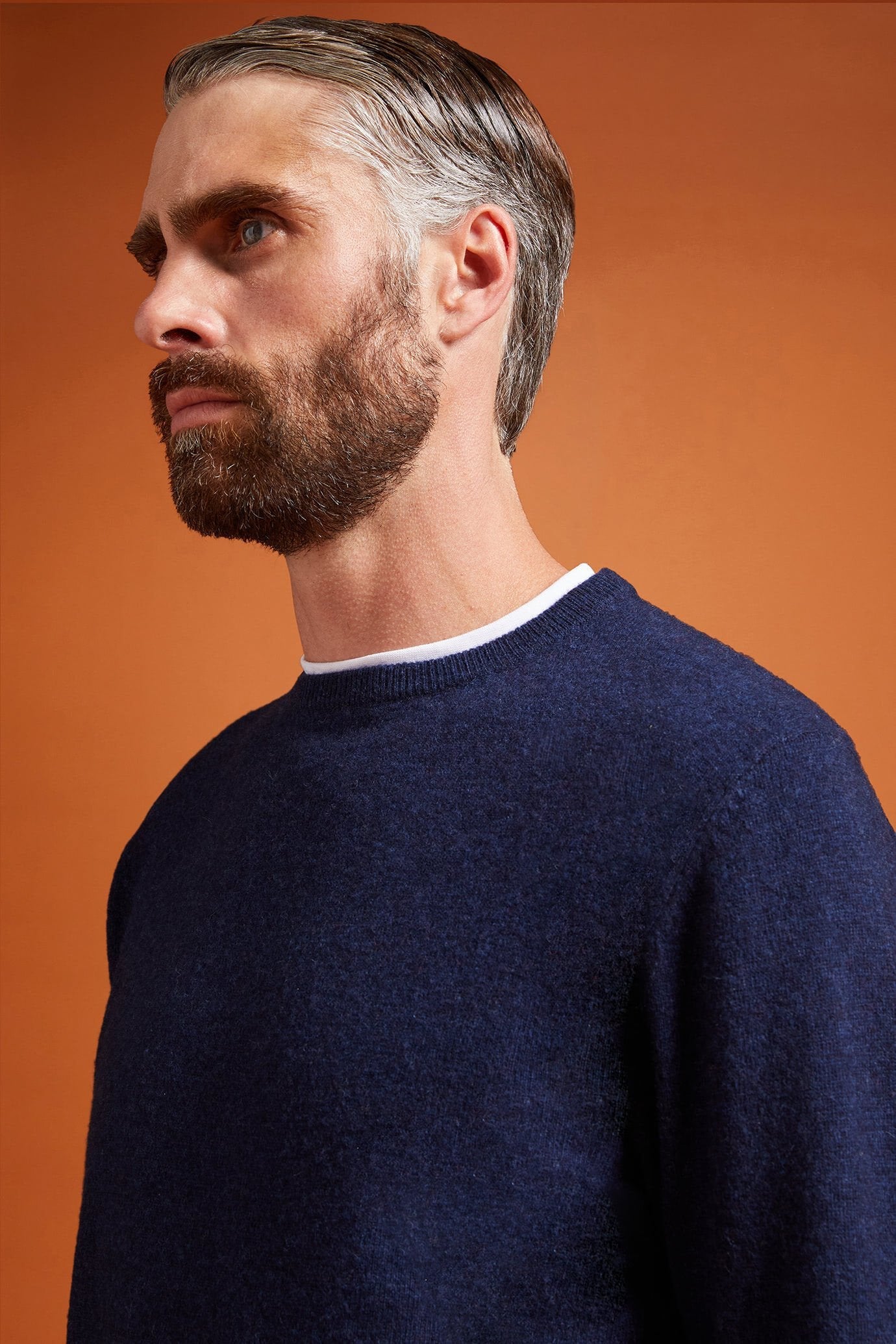 Men's regular fit lambswool jumper