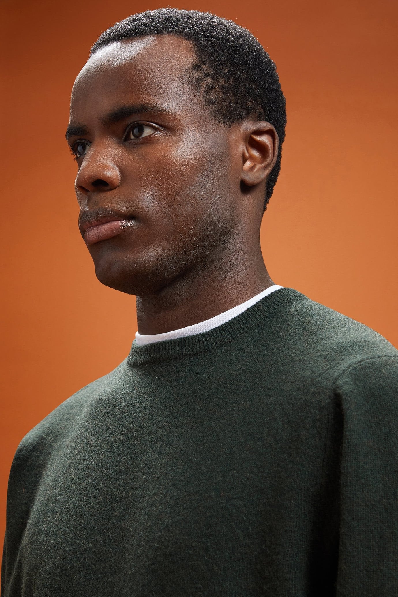 Men's regular fit lambswool jumper