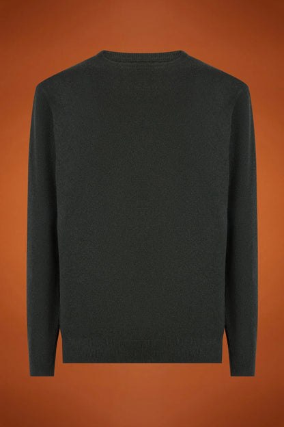 Men's regular fit lambswool jumper