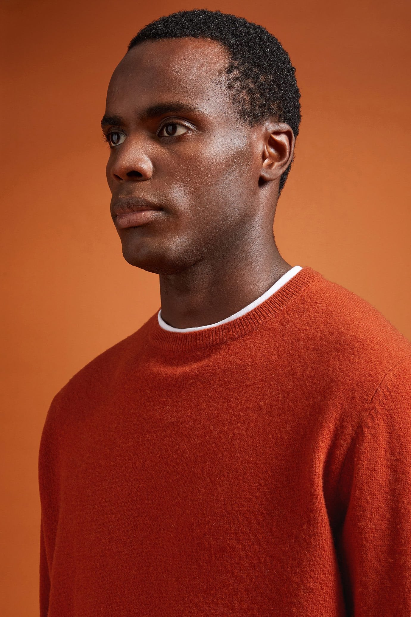 Men's regular fit lambswool jumper