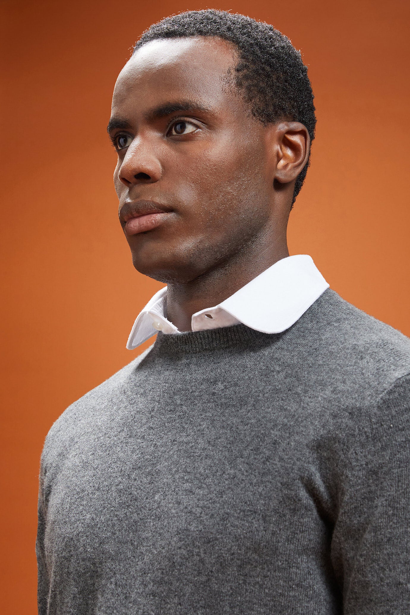 Men's regular fit crew neck jumper in 100% cashmere