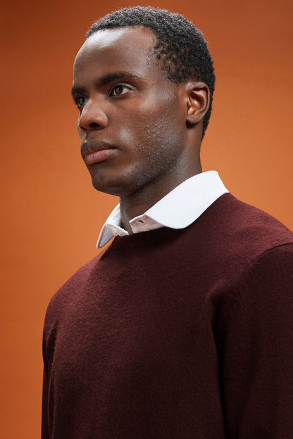 Men's regular fit crew neck jumper in 100% cashmere