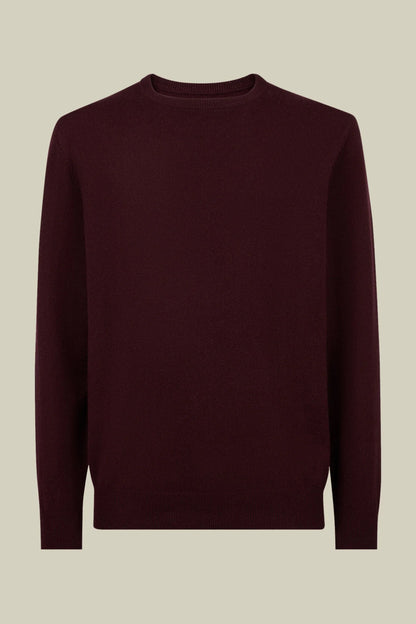 Men's regular fit crew neck jumper in 100% cashmere