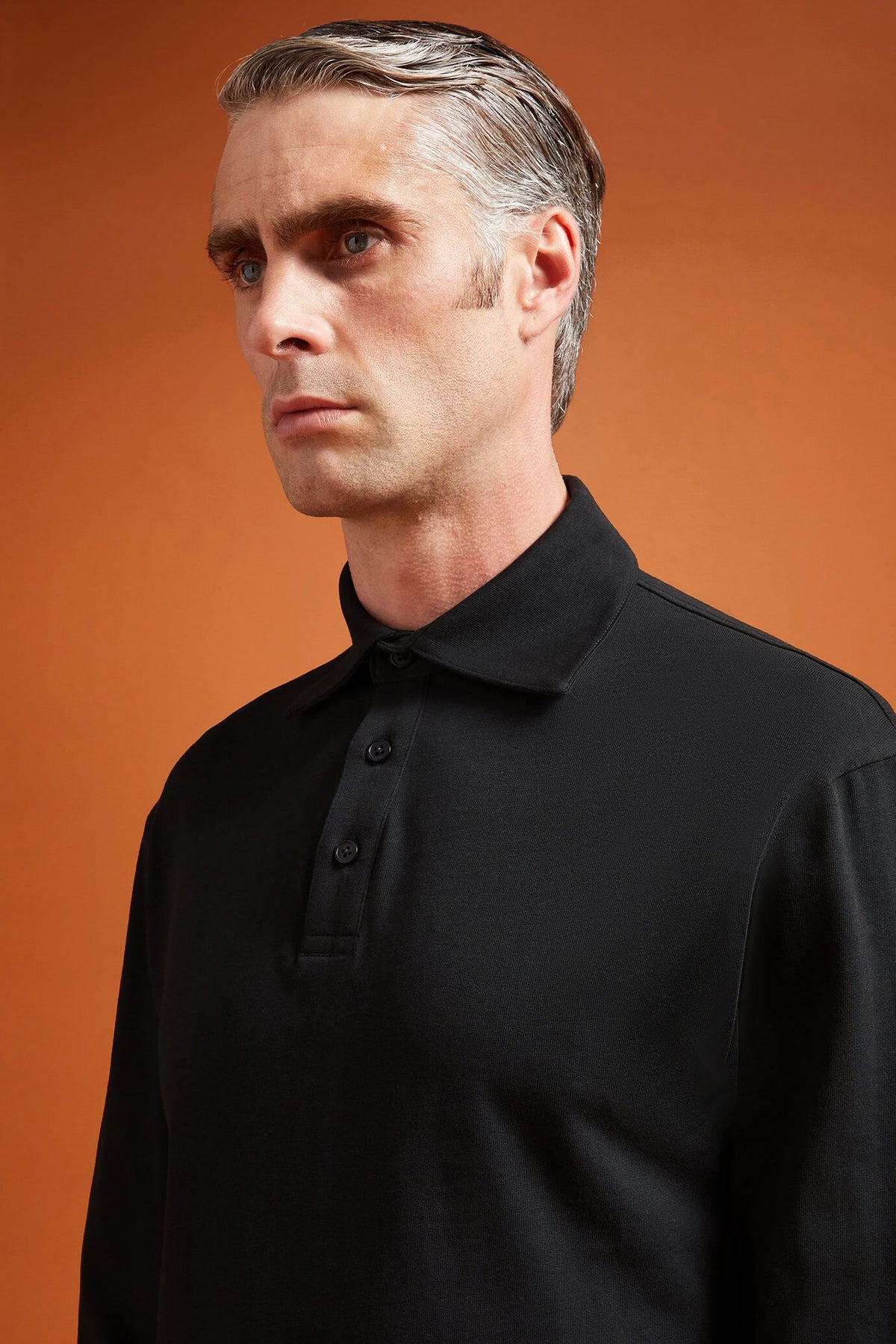 Men's long-sleeved 100% cotton polo shirt with a classic collar in a regular fit