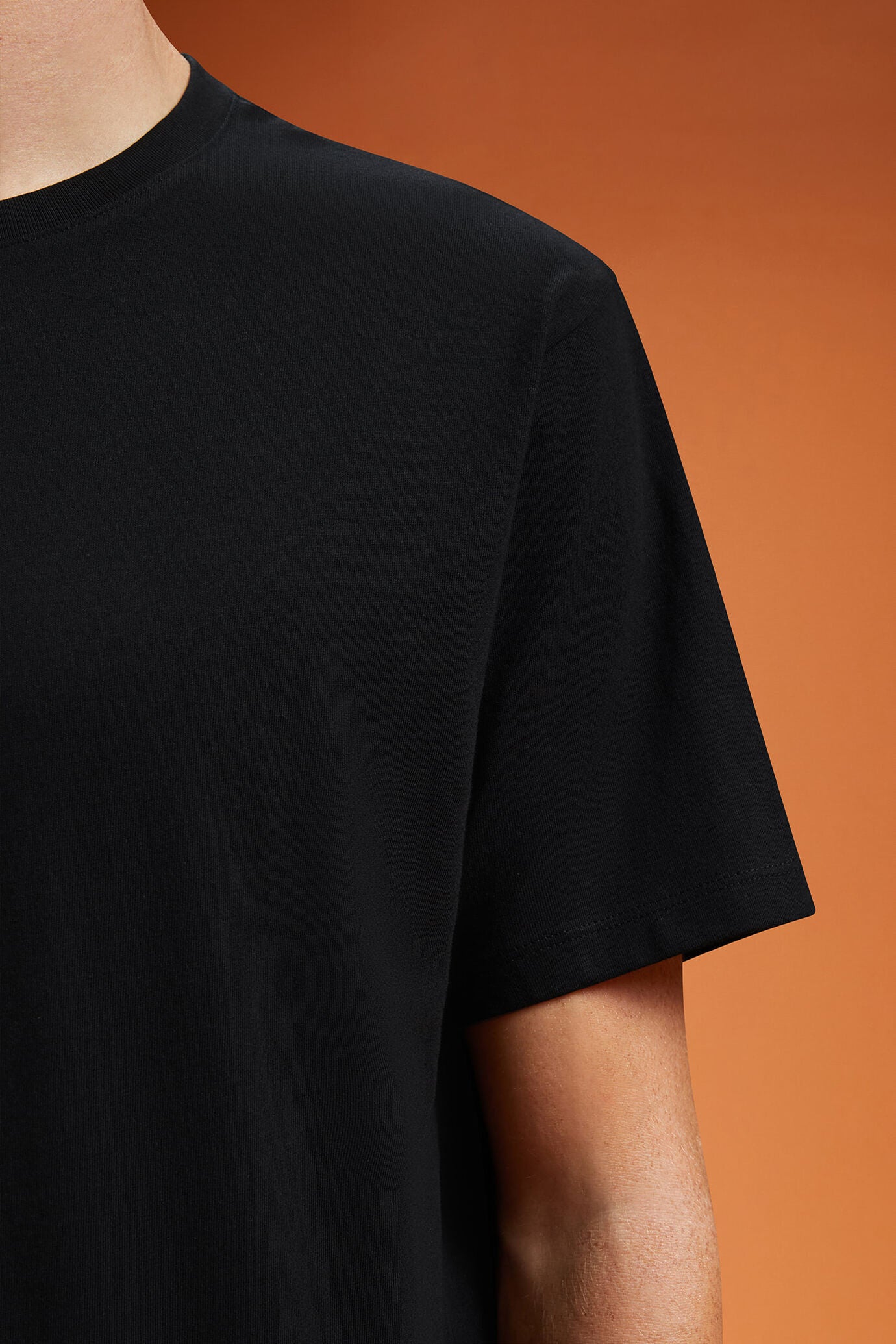 Men's 100% cotton crew neck T-shirt with short sleeves in a regular fit
