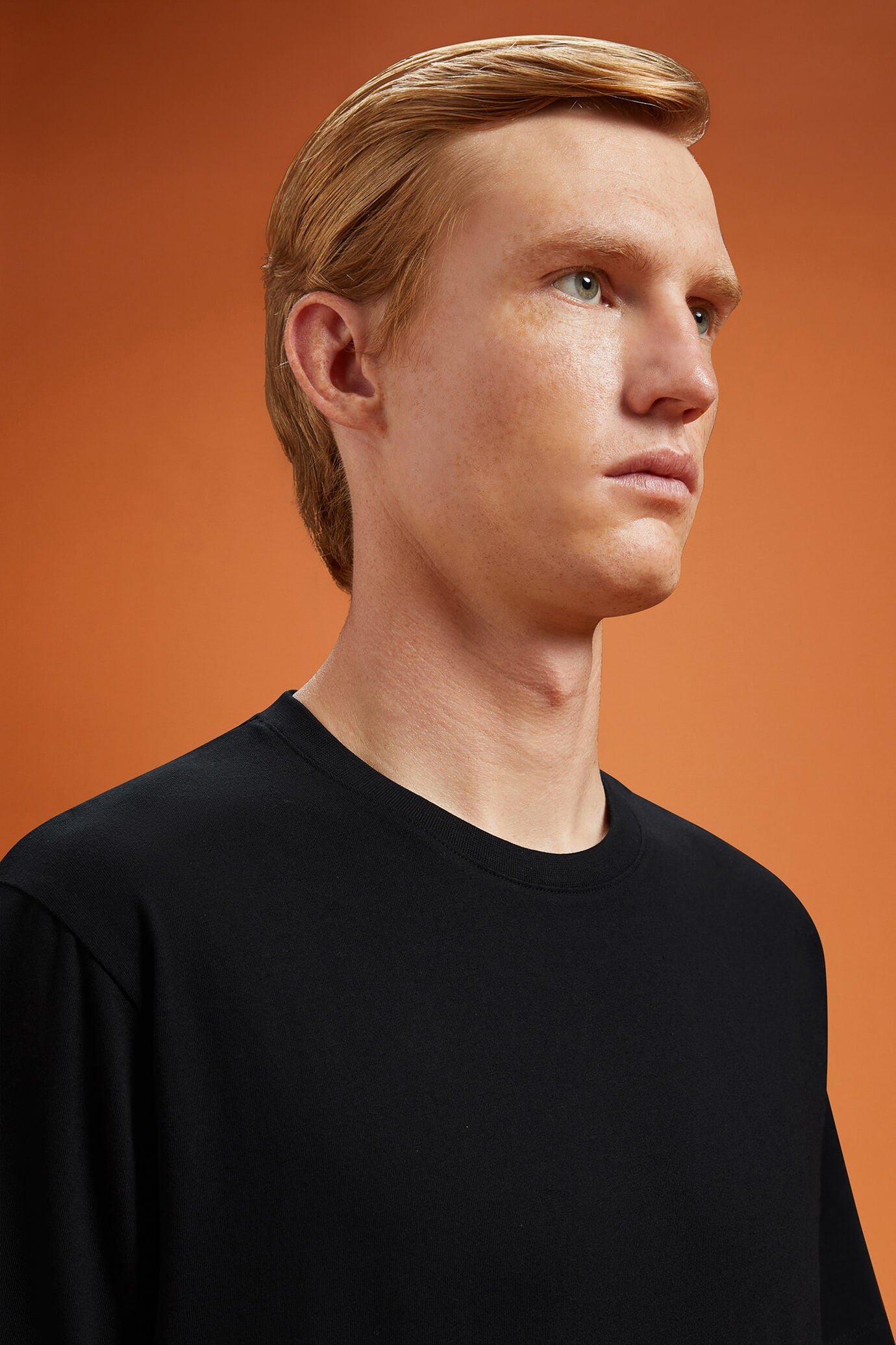 Men's 100% cotton crew neck T-shirt with short sleeves in a regular fit