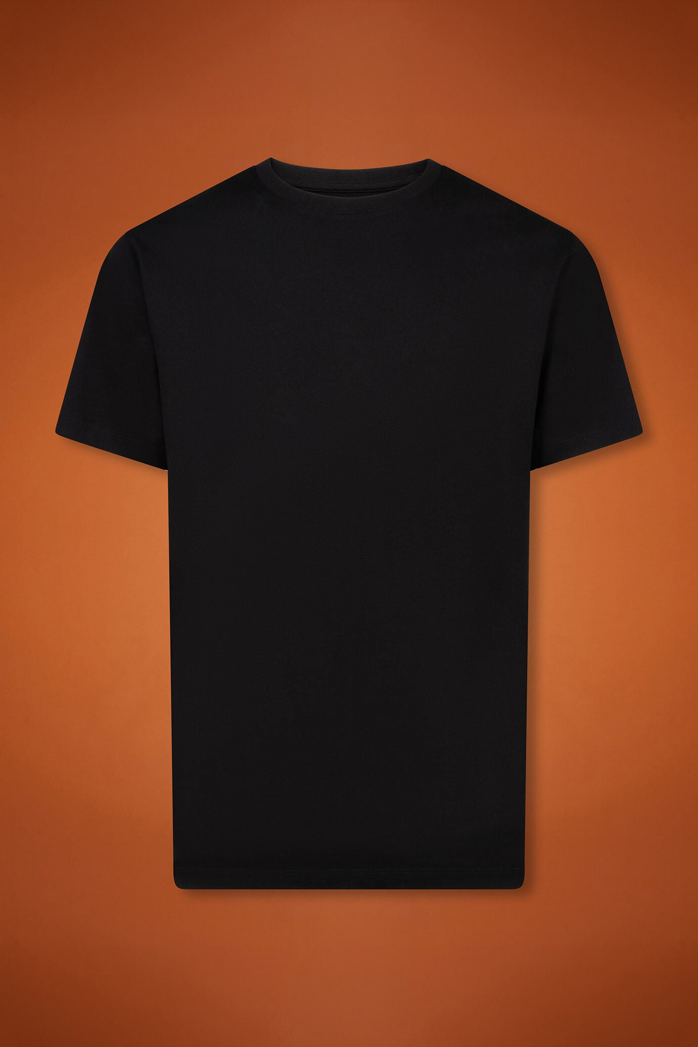 Men's 100% cotton crew neck T-shirt with short sleeves in a regular fit