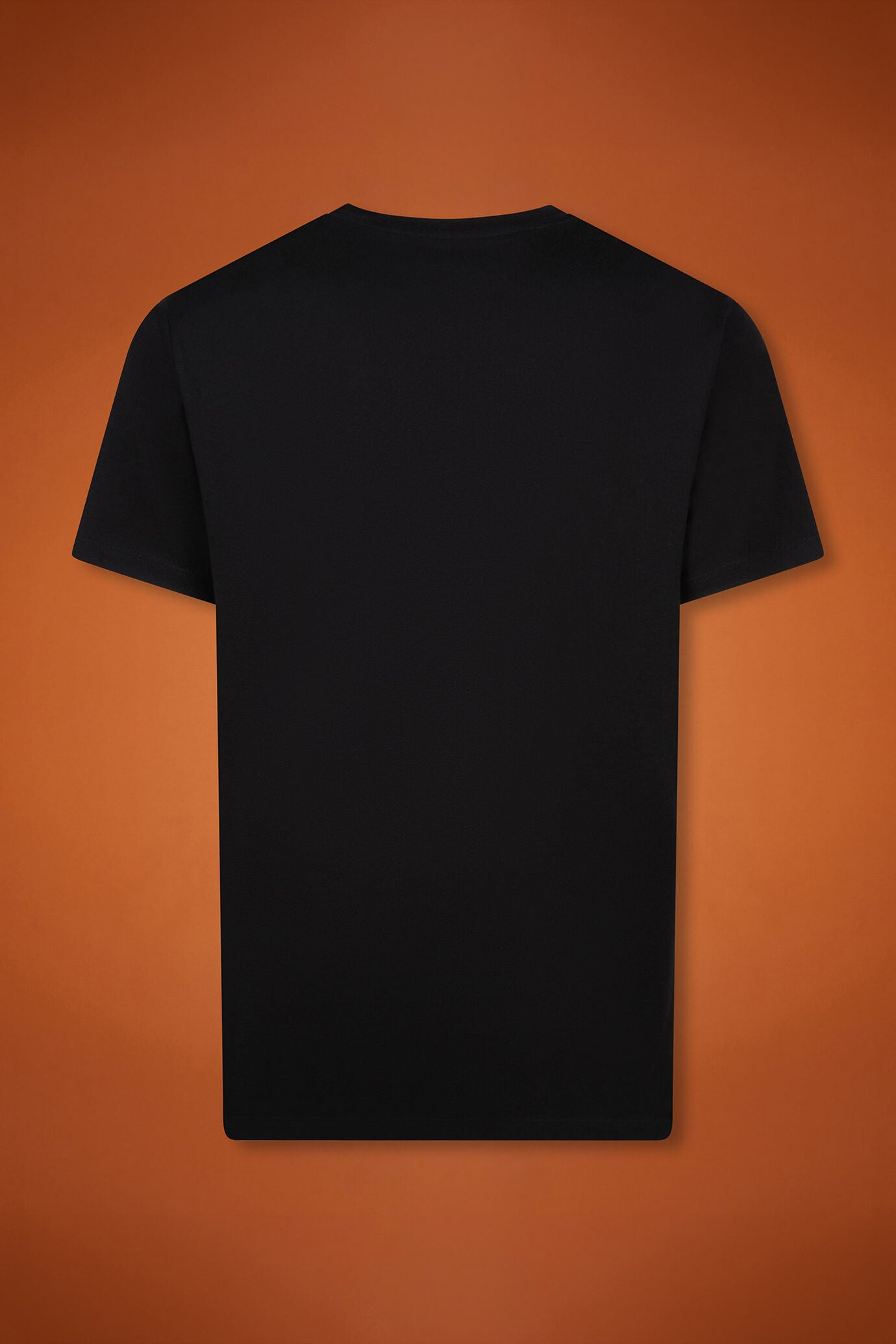 Men's 100% cotton crew neck T-shirt with short sleeves in a regular fit