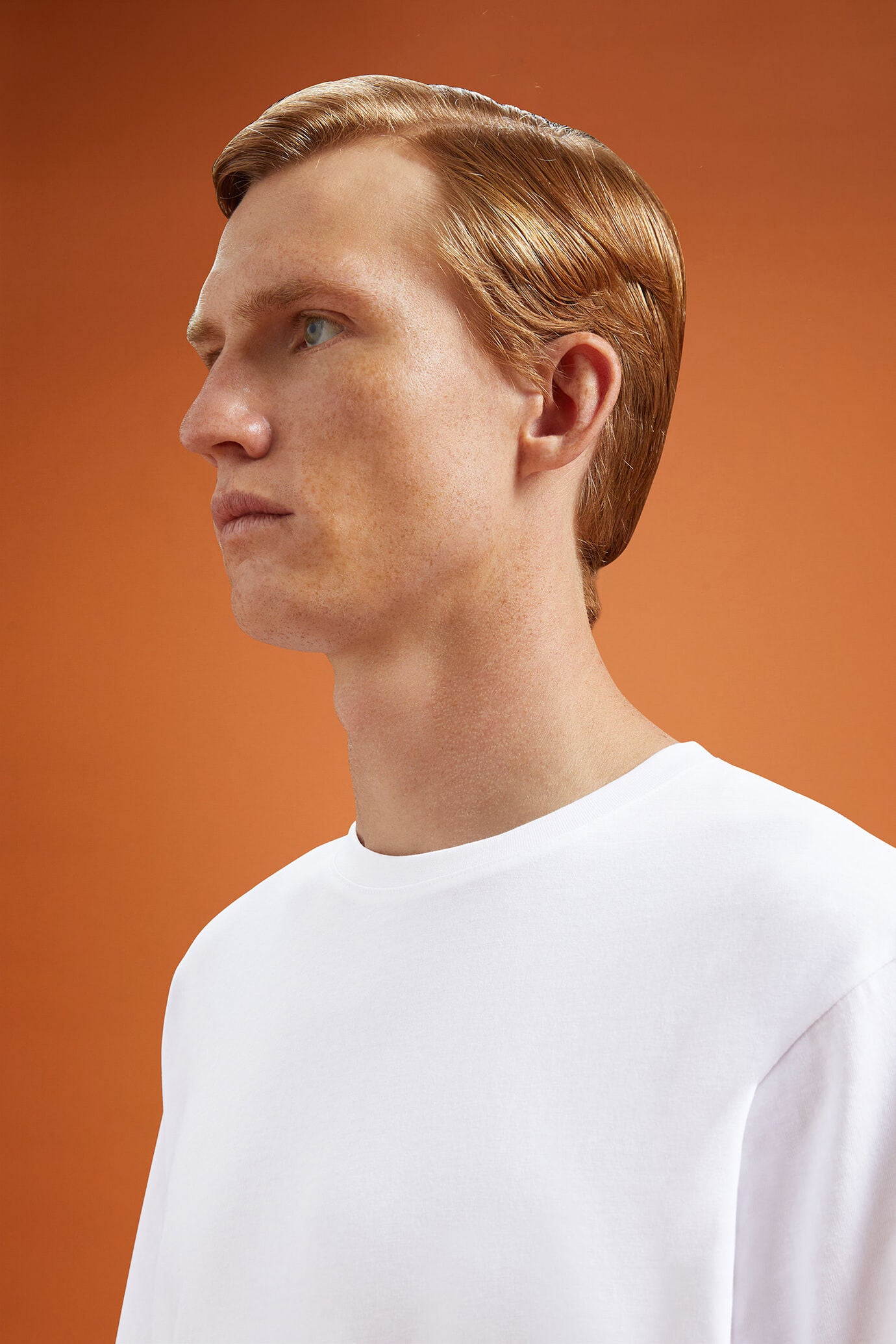 Men's 100% cotton crew neck T-shirt with short sleeves in a regular fit