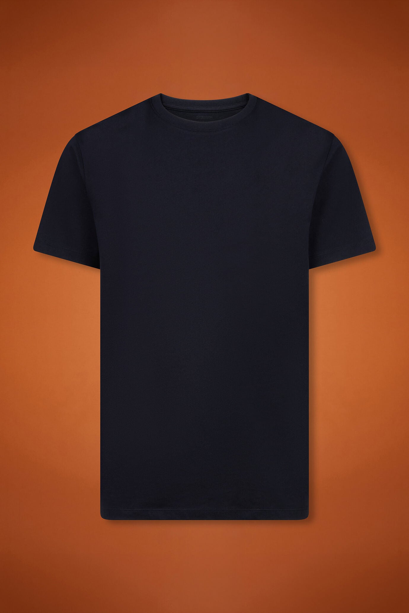 Men's 100% cotton crew neck T-shirt with short sleeves in a regular fit