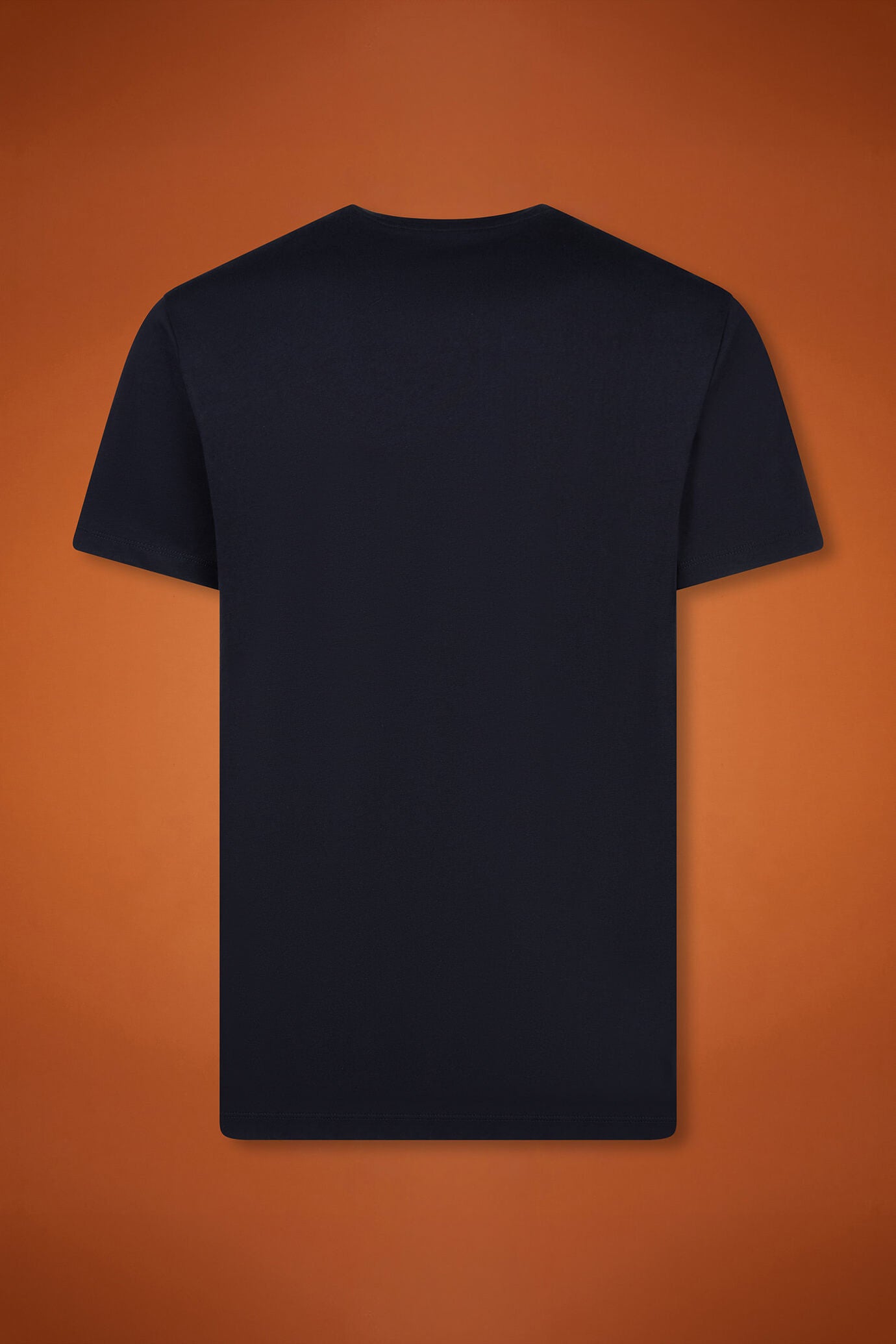 Men's 100% cotton crew neck T-shirt with short sleeves in a regular fit