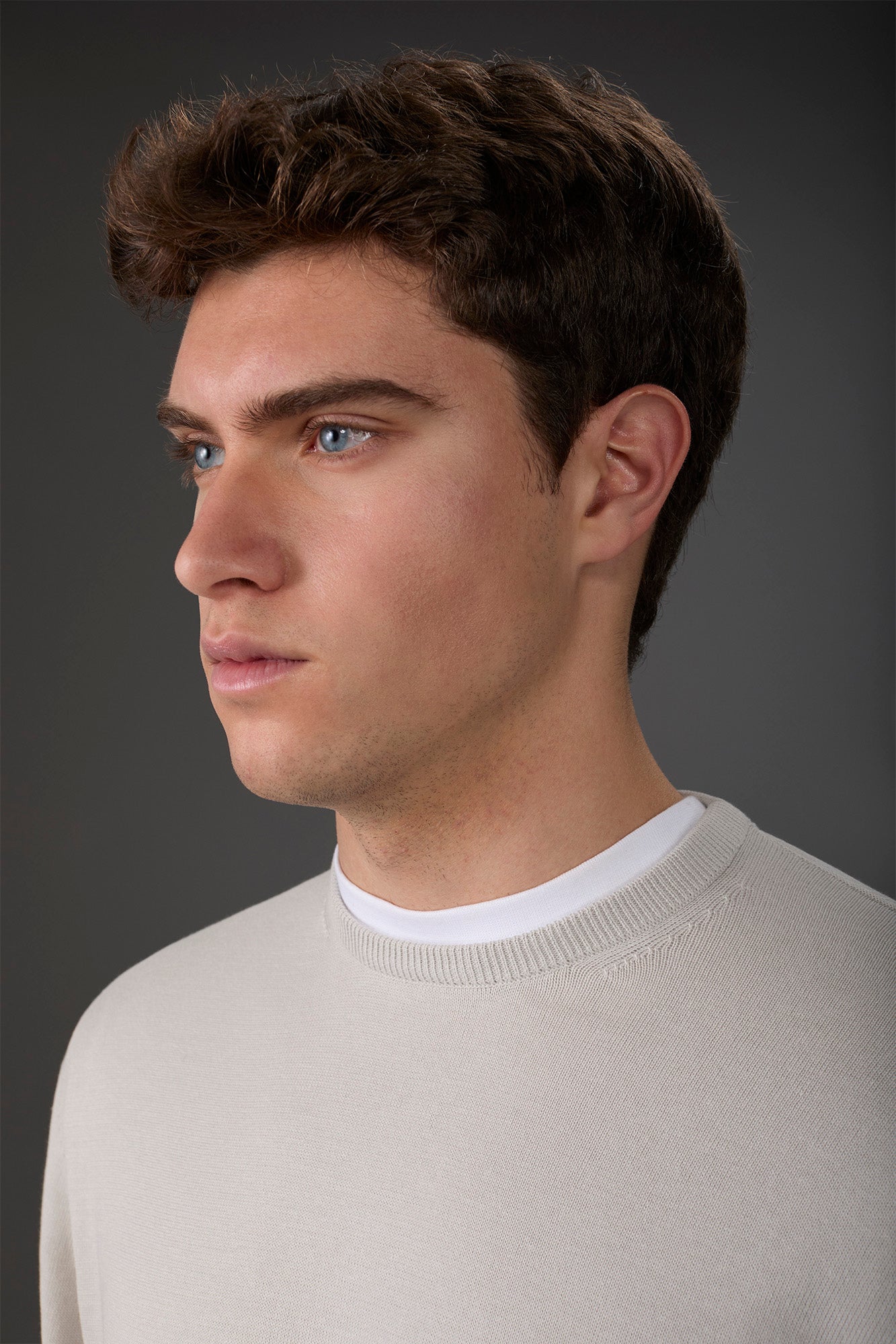 Men's crew neck sweater in bio-washed 100% cotton