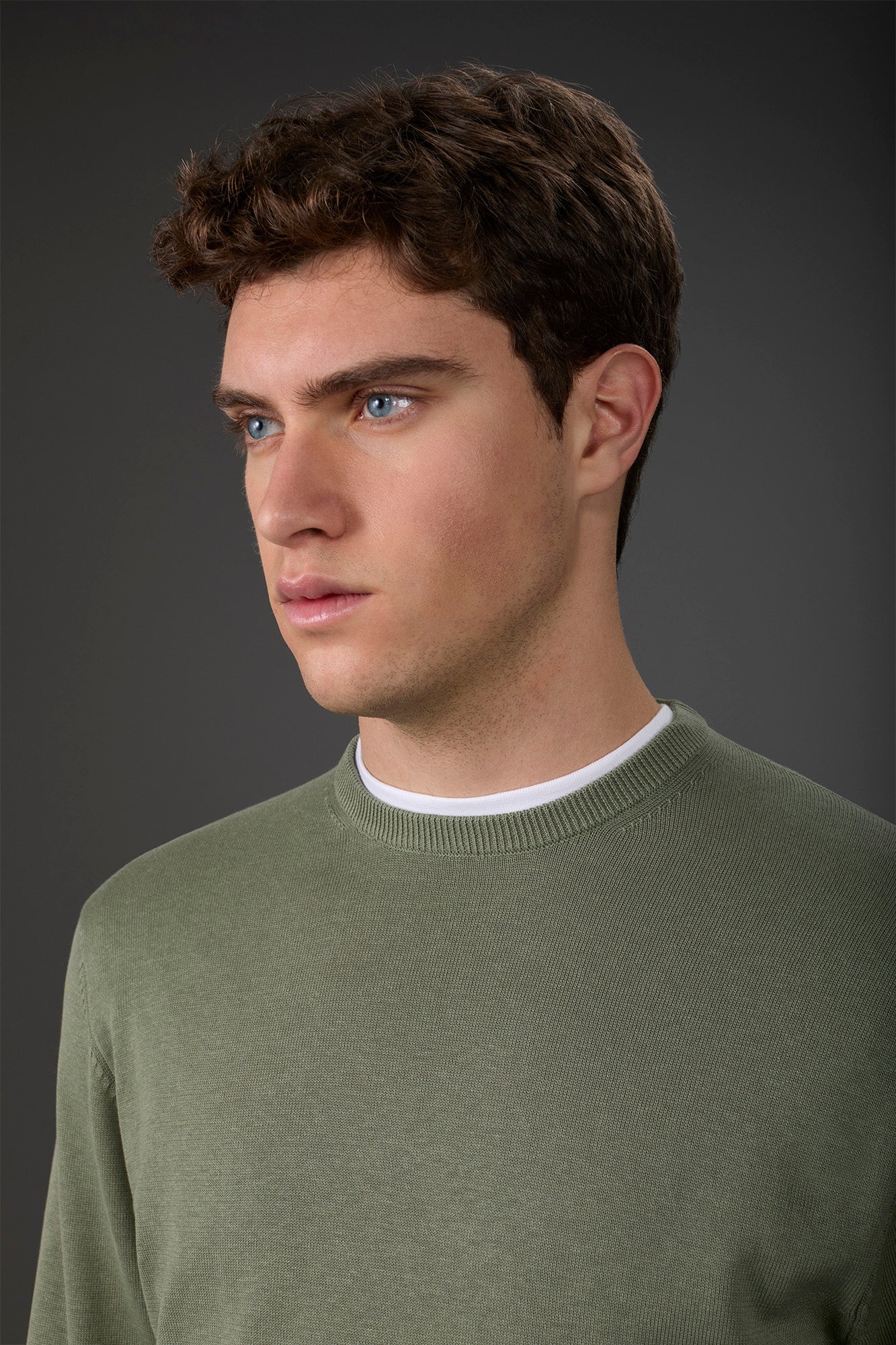 Men's crew neck sweater in bio-washed 100% cotton