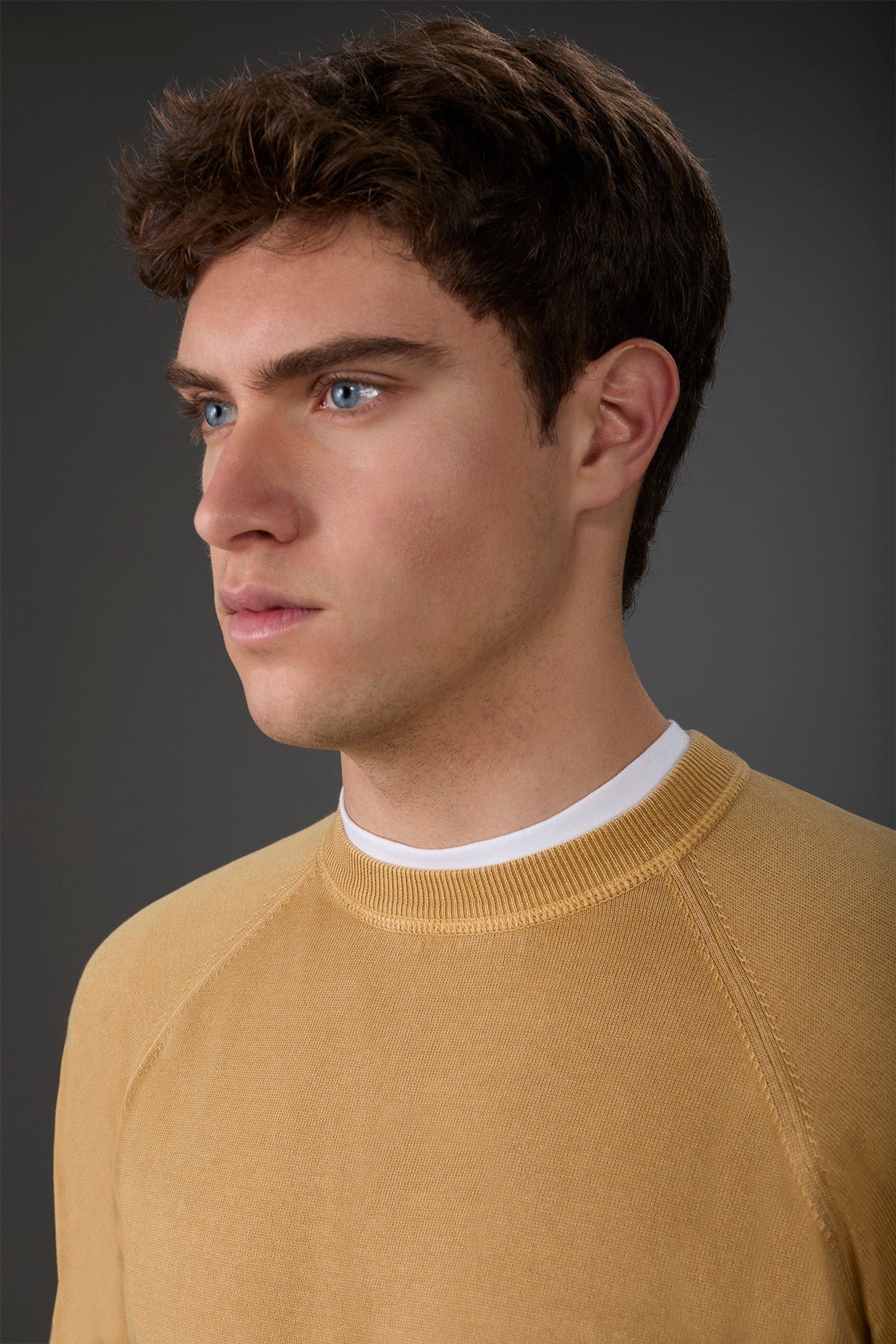 Men's crew neck pure cotton sweater with raglan sleeves