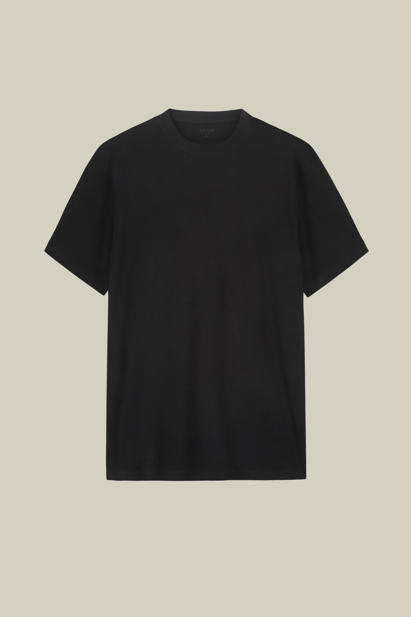 Men's short-sleeved T-shirt in 100% cotton jersey