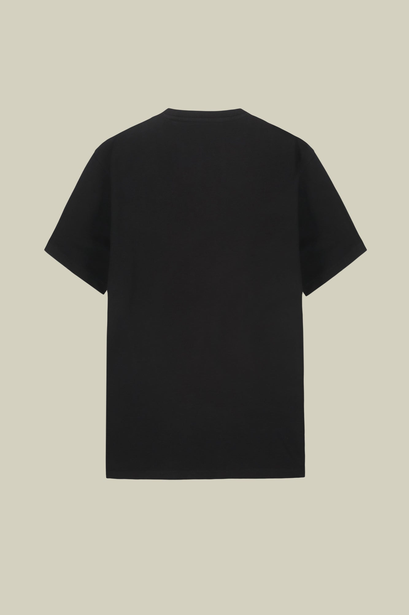 Men's short-sleeved T-shirt in 100% cotton jersey