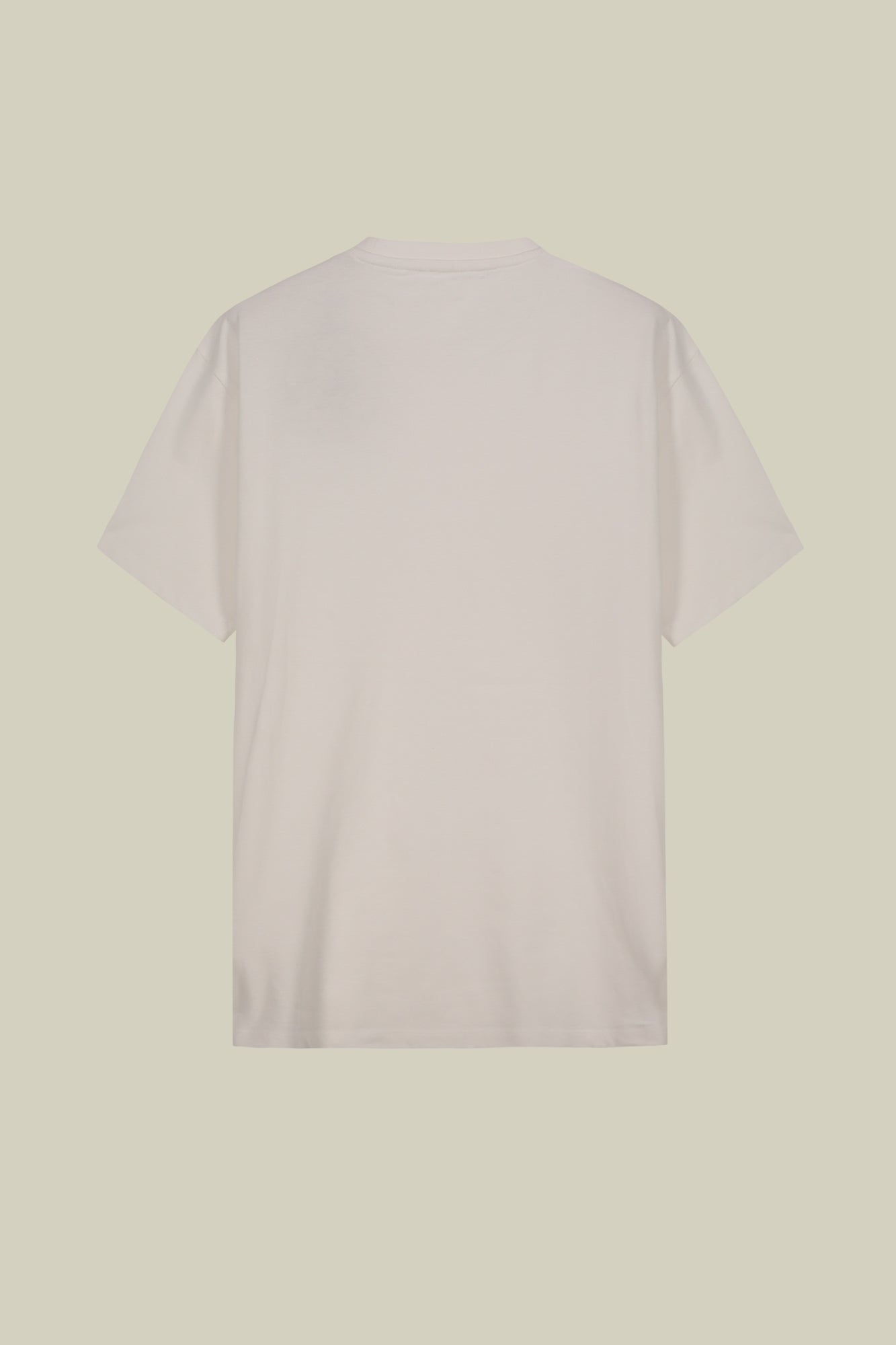 Men's short-sleeved T-shirt in 100% cotton jersey