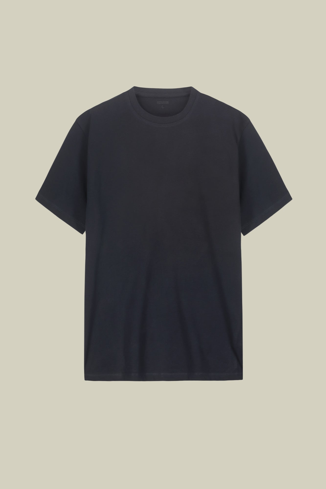 Men's short-sleeved T-shirt in 100% cotton jersey