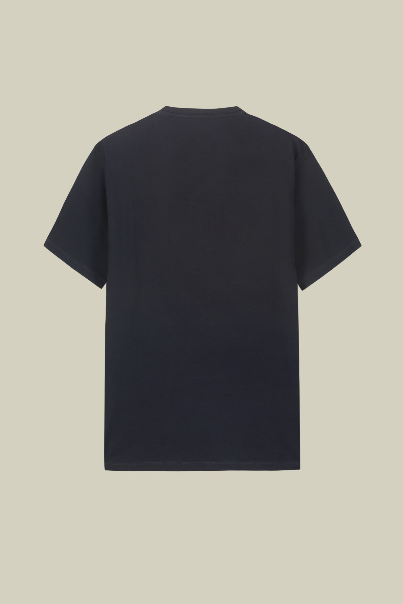 Men's short-sleeved T-shirt in 100% cotton jersey
