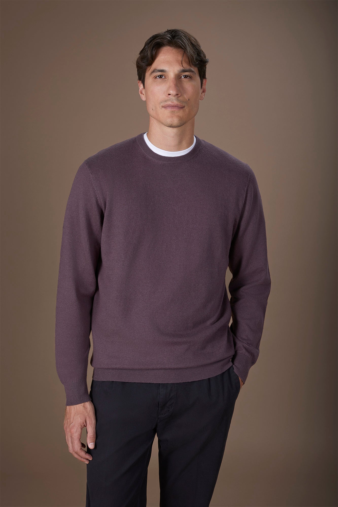 Men's regular fit crew neck jumper in wool and cotton