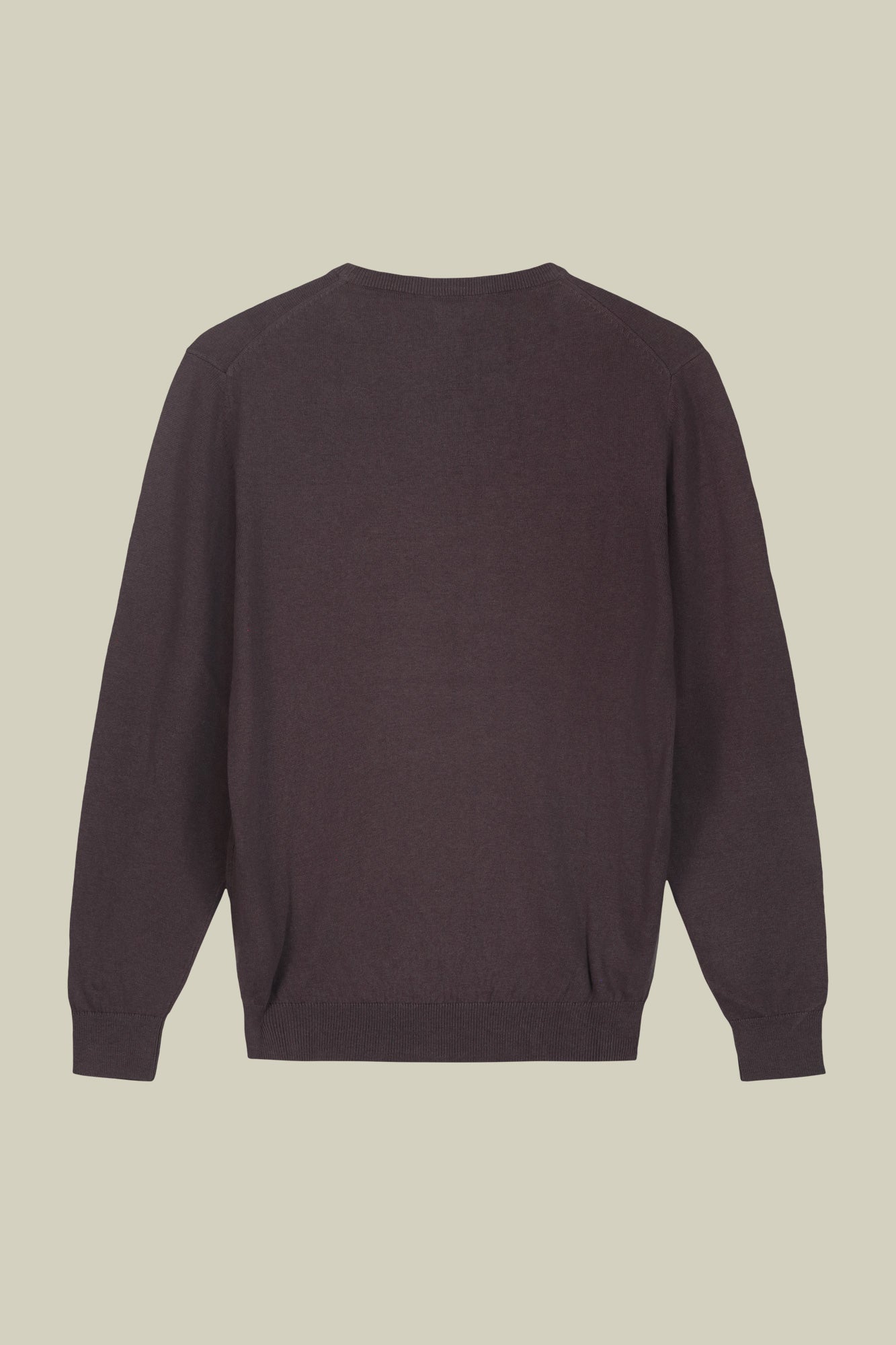 Men's regular fit crew neck jumper in wool and cotton