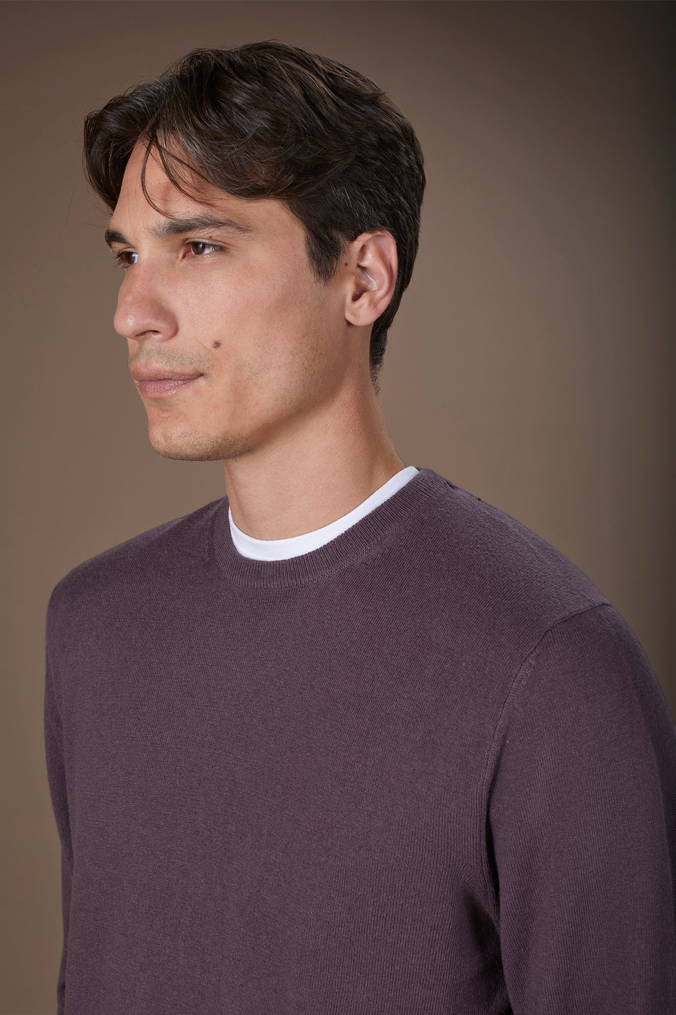 Men's regular fit crew neck jumper in wool and cotton