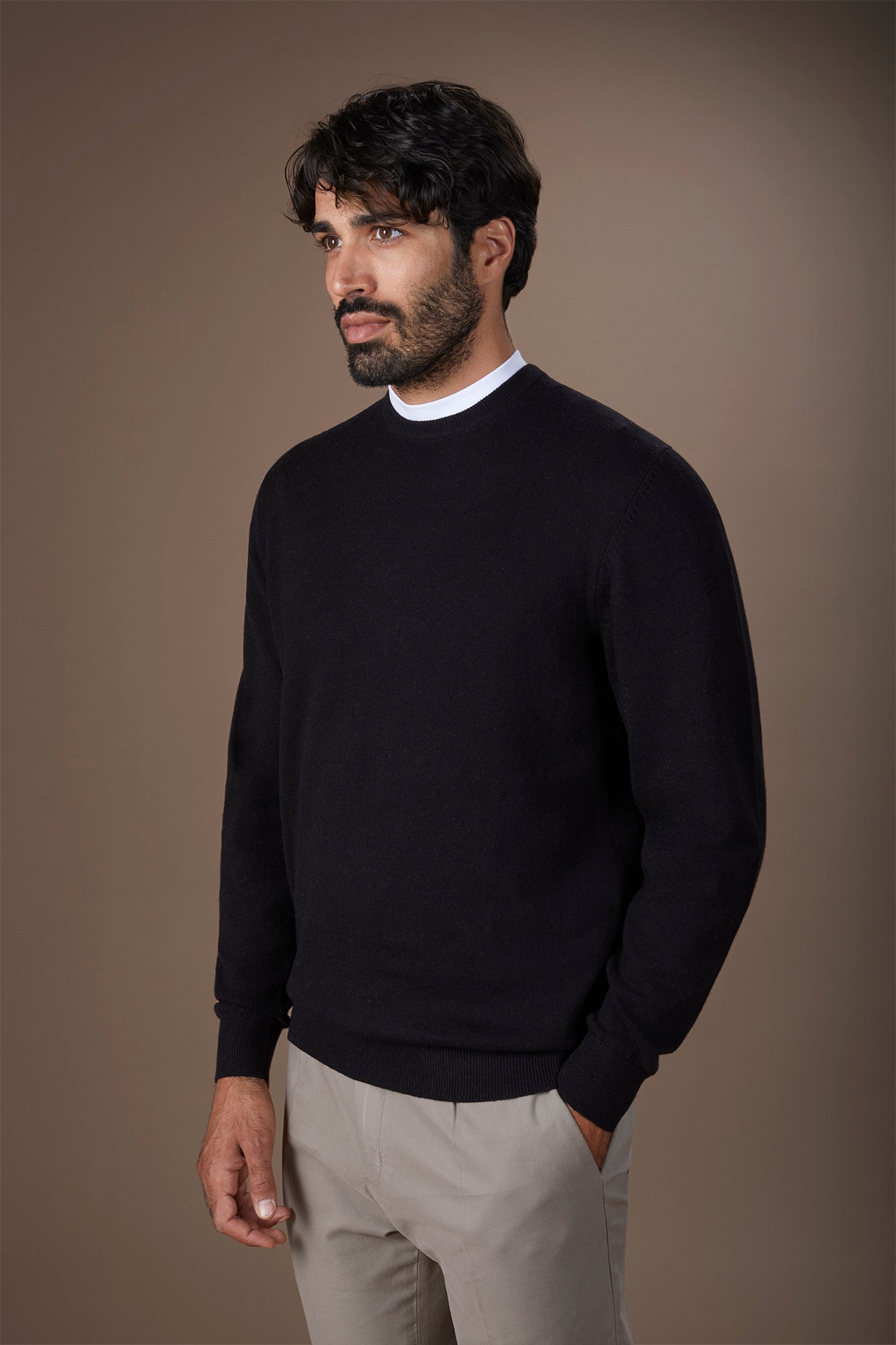 Men's regular fit crew neck jumper in wool and cotton