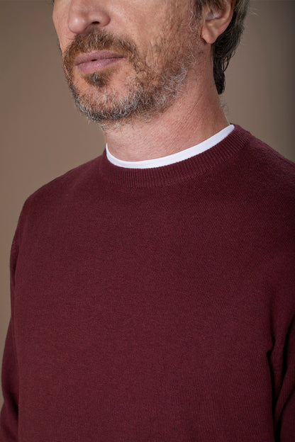 Men's regular fit crew neck jumper in wool and cotton