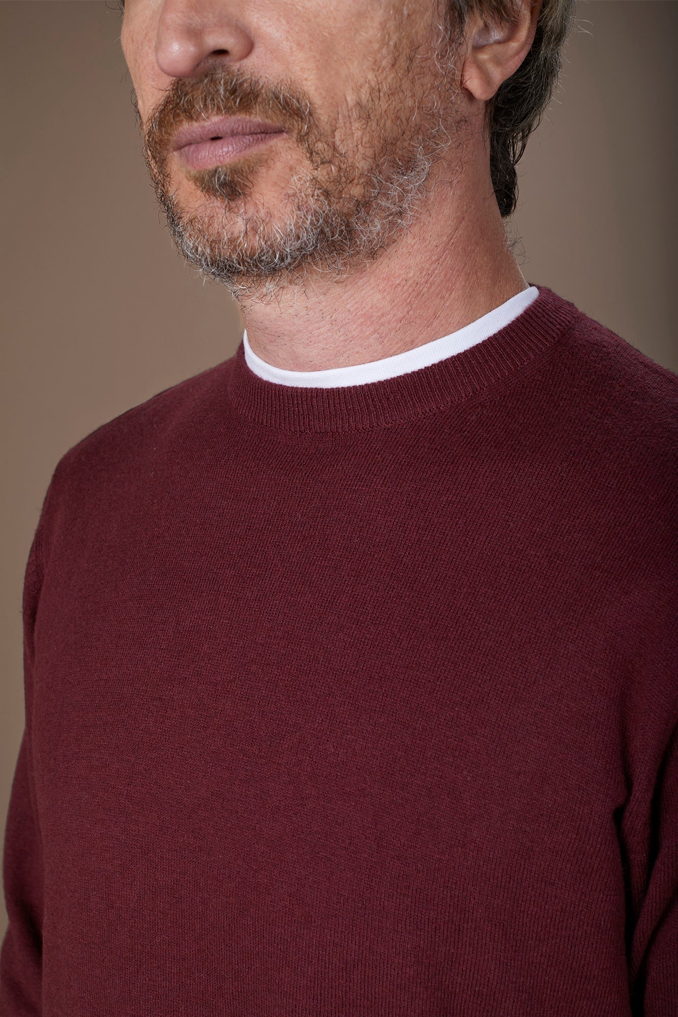 Men's regular fit crew neck jumper in wool and cotton