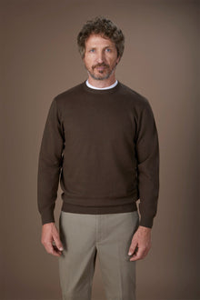 Men's regular fit crew neck jumper in wool and cotton
