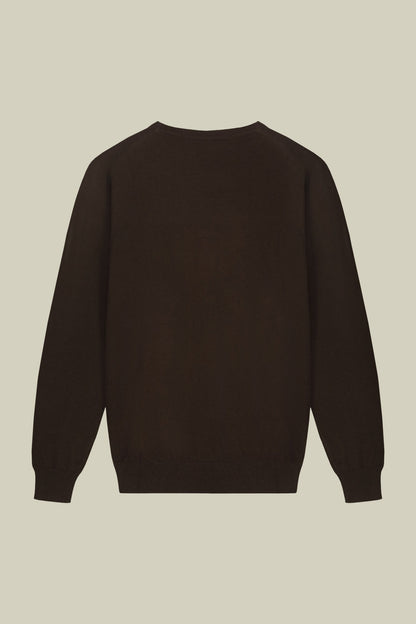 Men's regular fit crew neck jumper in wool and cotton