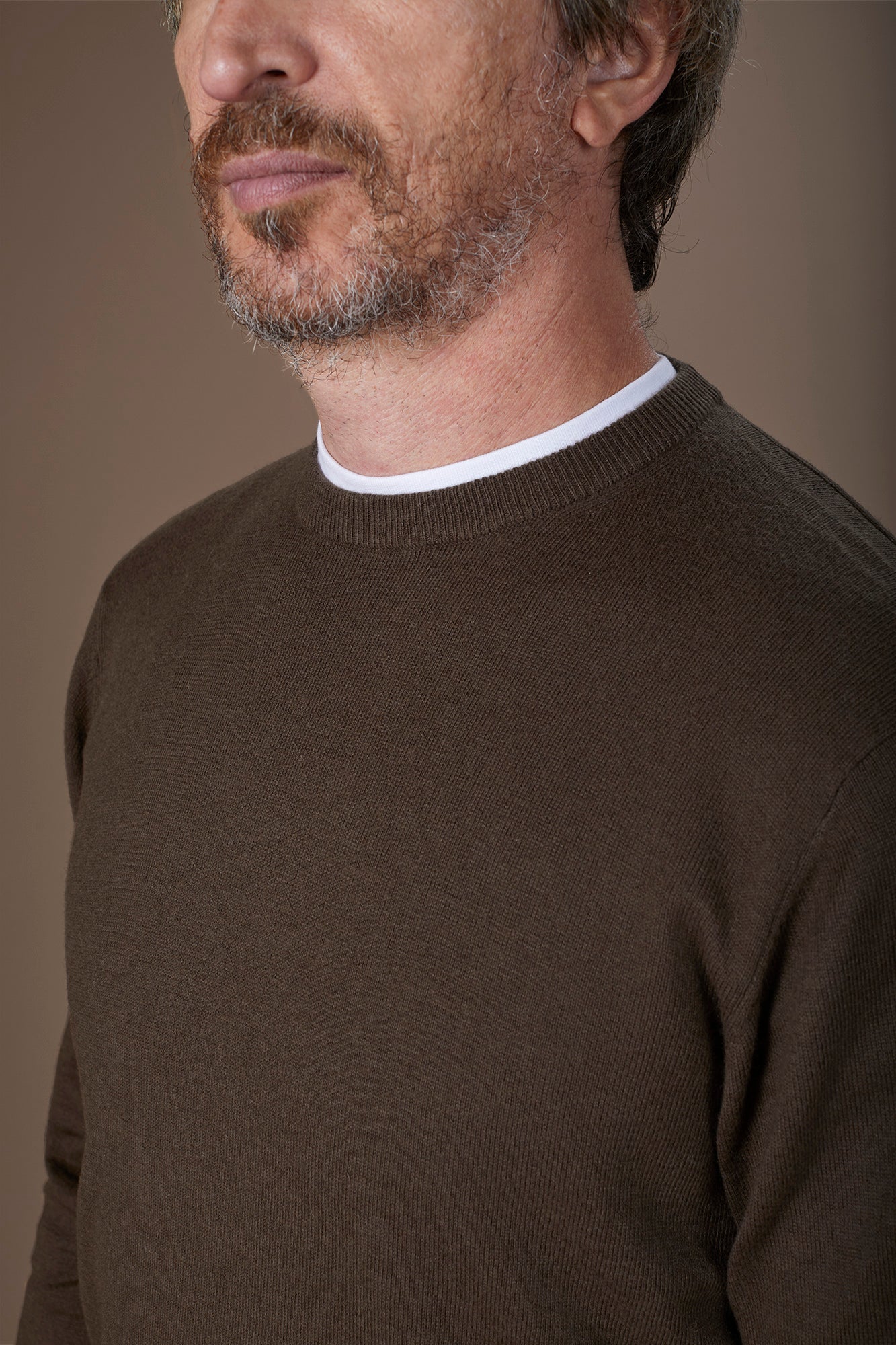 Men's regular fit crew neck jumper in wool and cotton