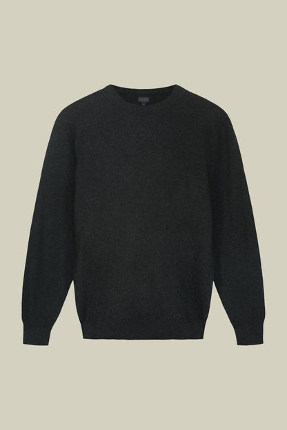 Men's regular fit crew neck jumper in wool and cotton