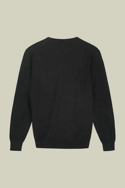 Men's regular fit crew neck jumper in wool and cotton