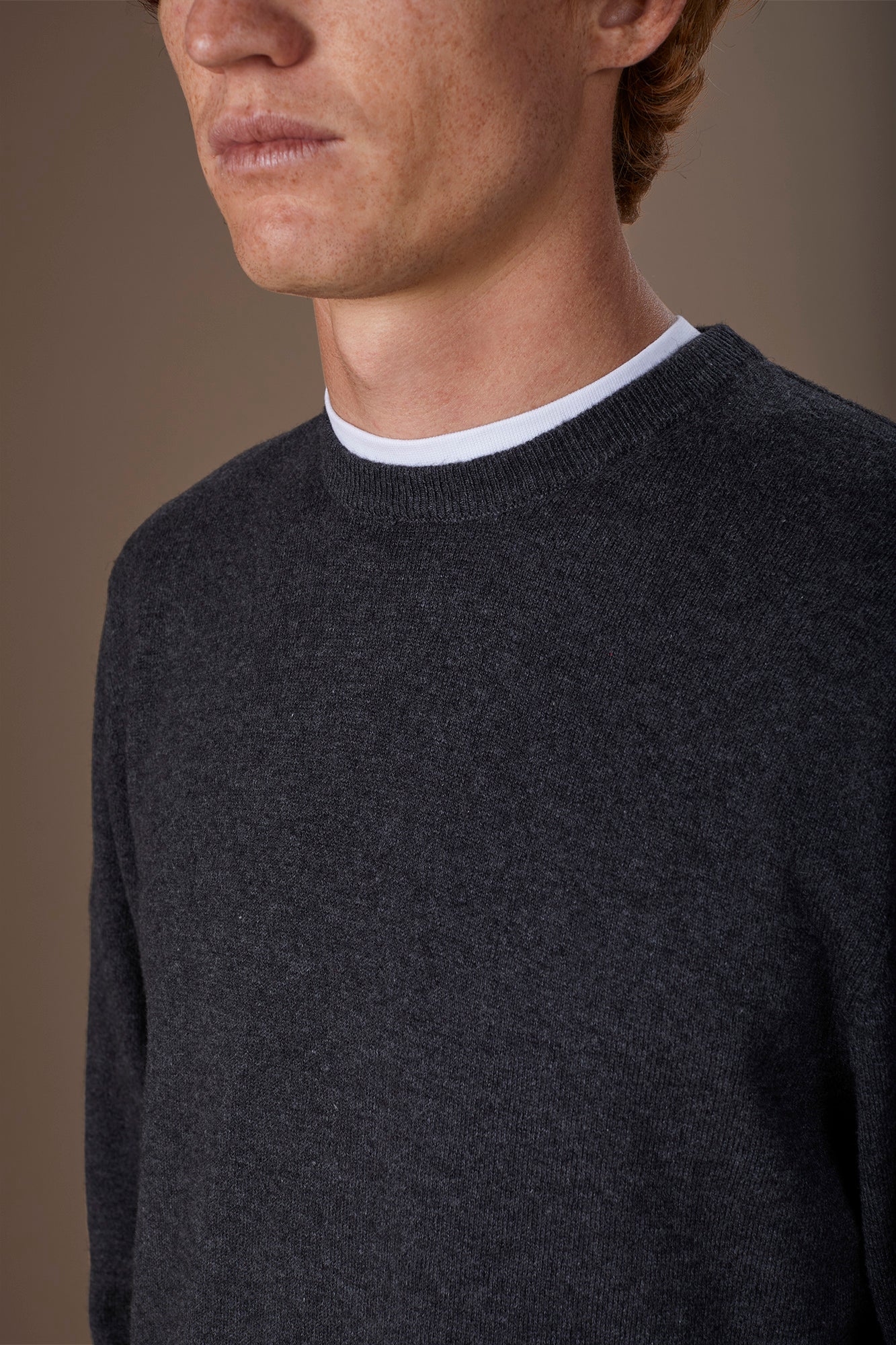 Men's regular fit crew neck jumper in wool and cotton