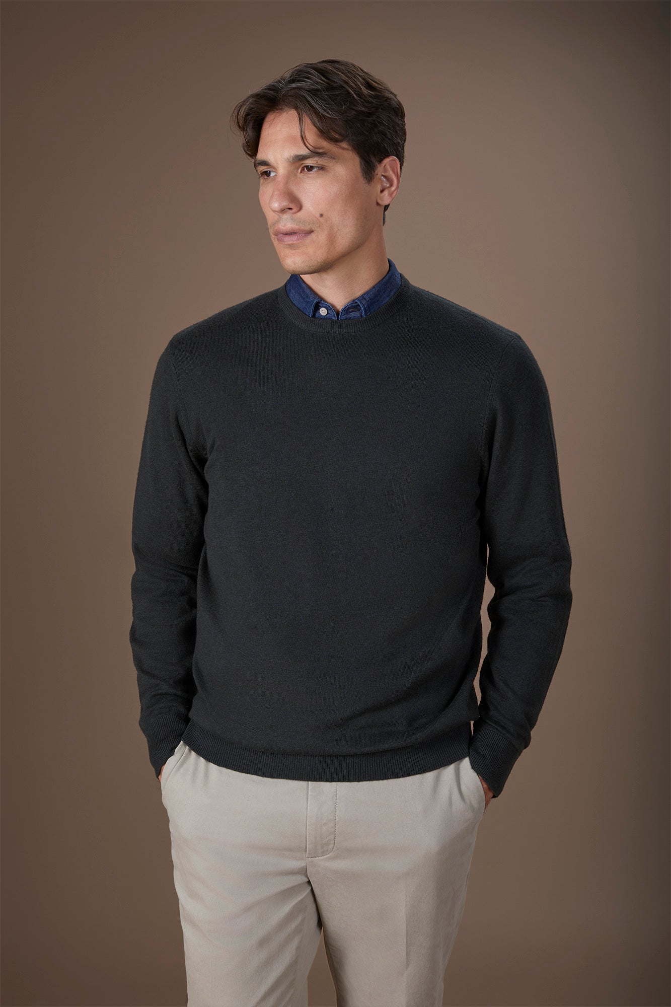 Men's regular fit crew neck jumper in wool and cotton