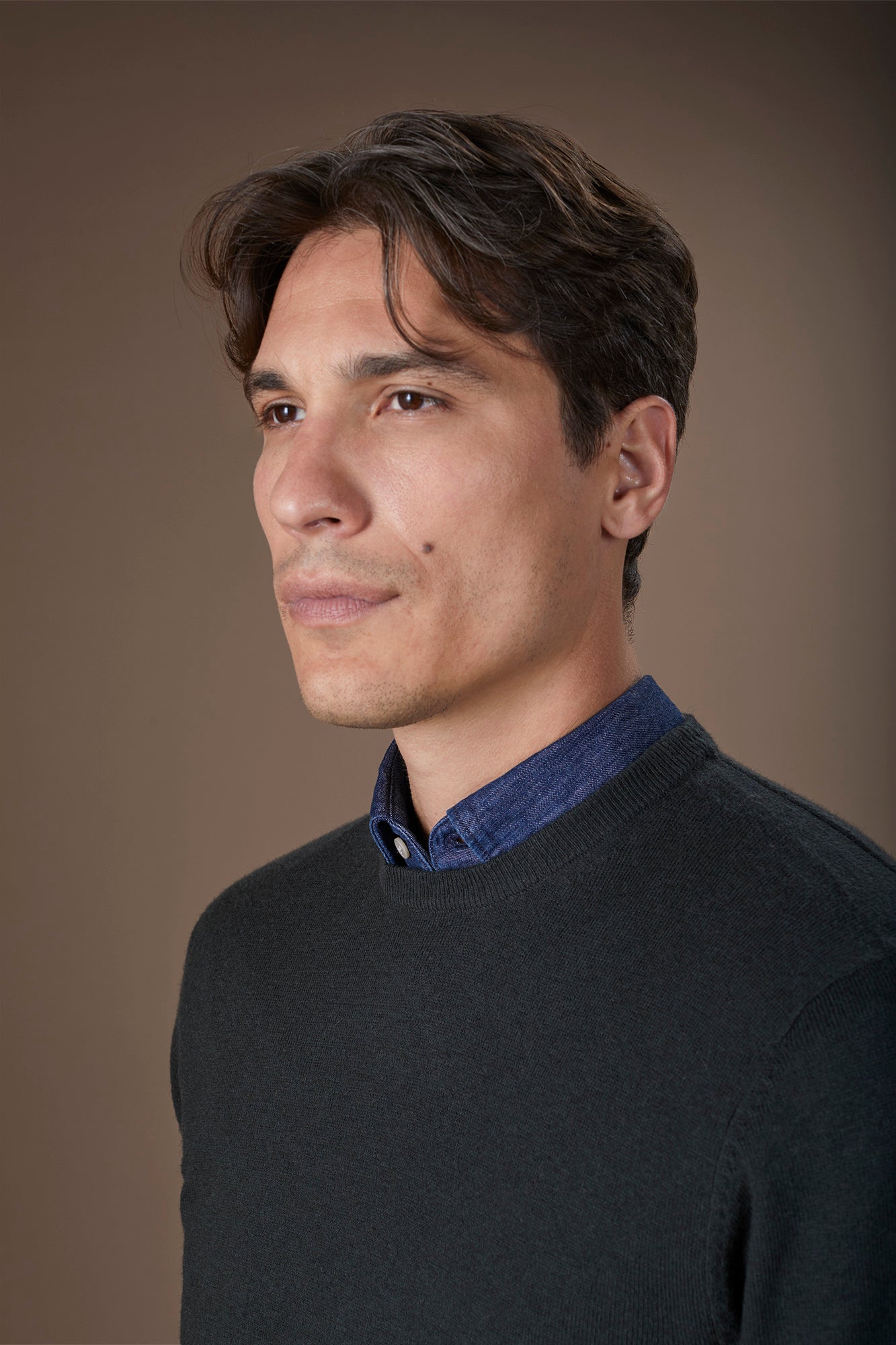 Men's regular fit crew neck jumper in wool and cotton