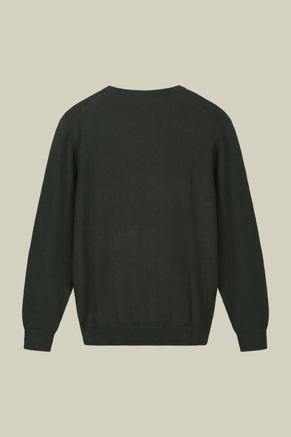Men's regular fit crew neck jumper in wool and cotton