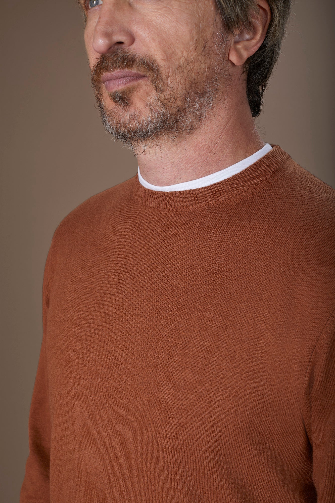 Men's regular fit crew neck jumper in wool and cotton